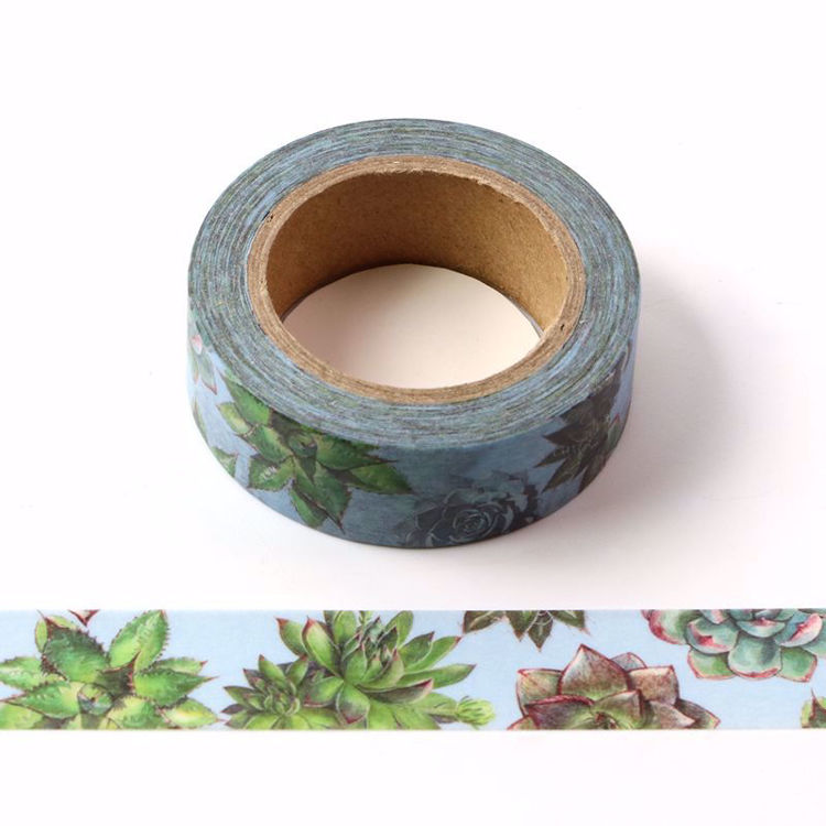 Succulent plants  washi tape
